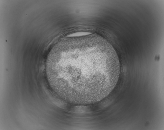 X0000111130367200907211120