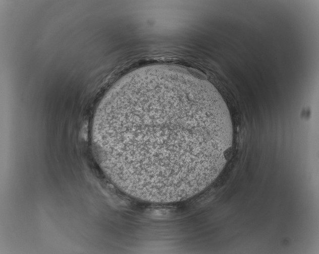 X0000111130368200907211120