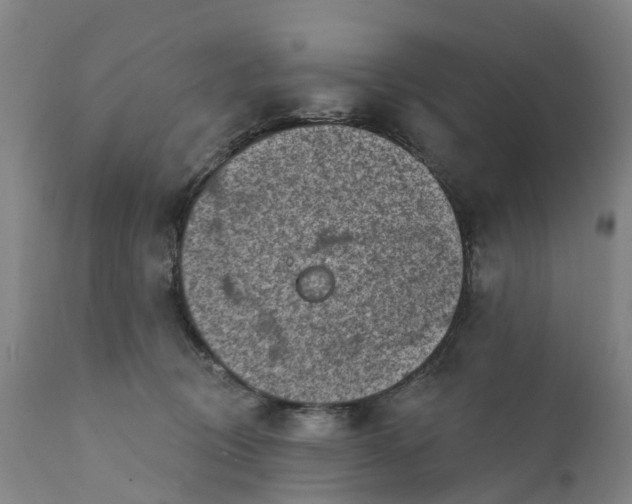 X0000111130370200907211120