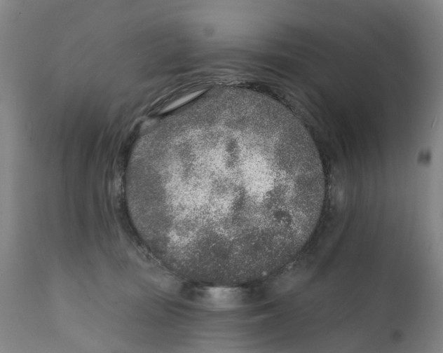 X0000111130371200907211120