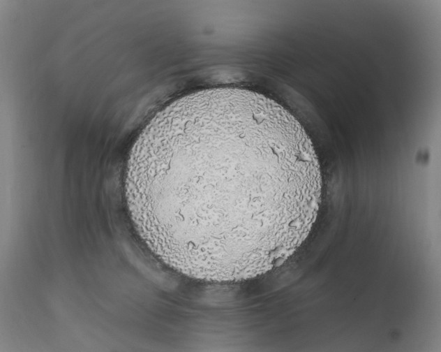 X0000111130373200907211120