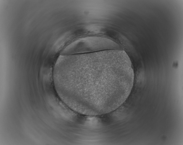 X0000111130376200907211120