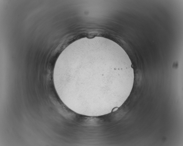 X0000111130379200907211120