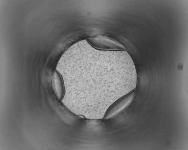 X0000111130380200907211120