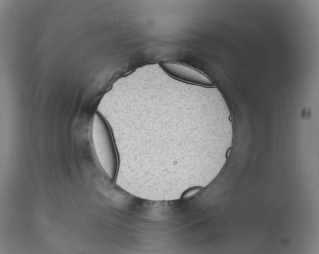 X0000111130384200907211120