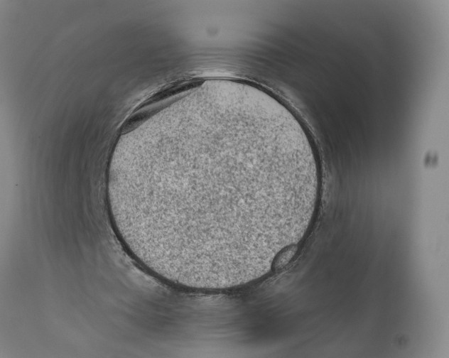 X0000111130385200907211119