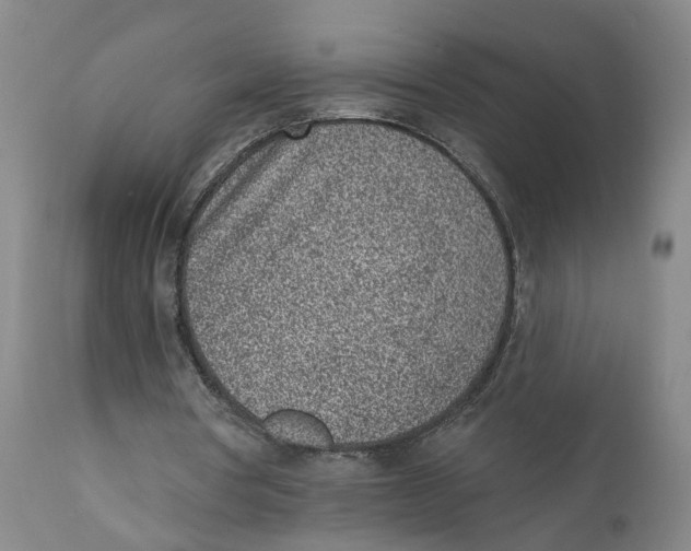 X0000111130386200907211119