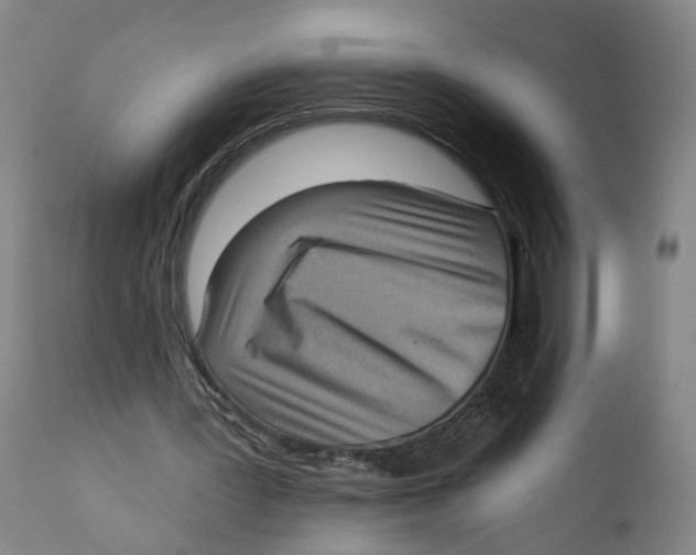 X0000111130387200907211119