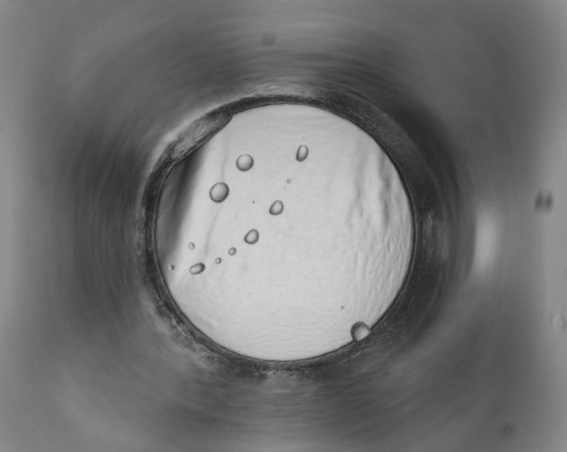 X0000111130388200907211119