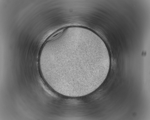 X0000111130389200907211119