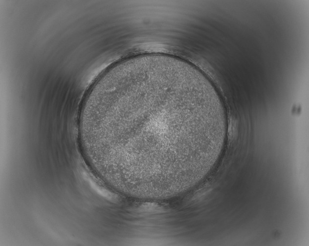 X0000111130390200907211119