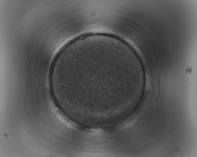 X0000111130391200907211119