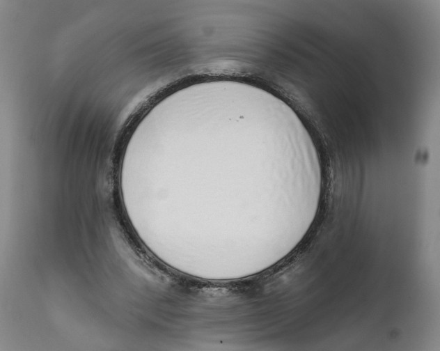 X0000111130392200907211119