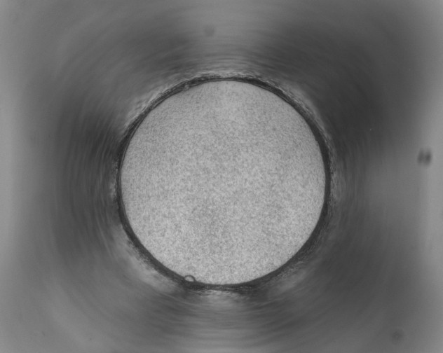 X0000111130393200907211119