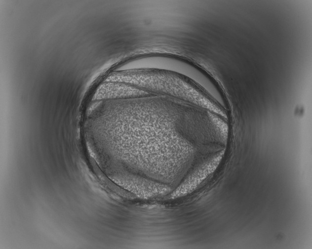 X0000111130395200907211119