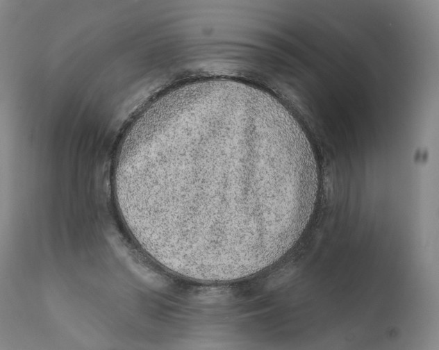 X0000111130398200907211119