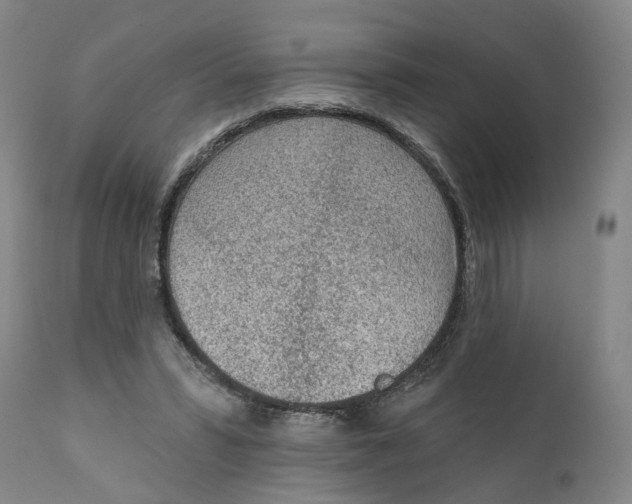X0000111130399200907211119