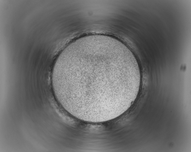 X0000111130401200907211119