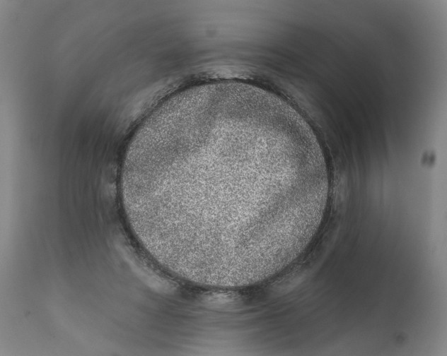 X0000111130402200907211119