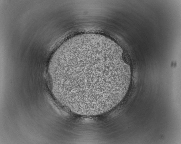 X0000111130405200907211119