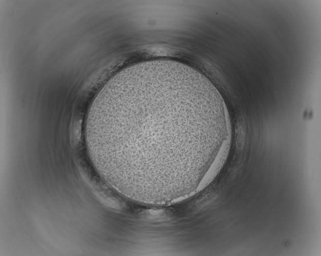 X0000111130406200907211119