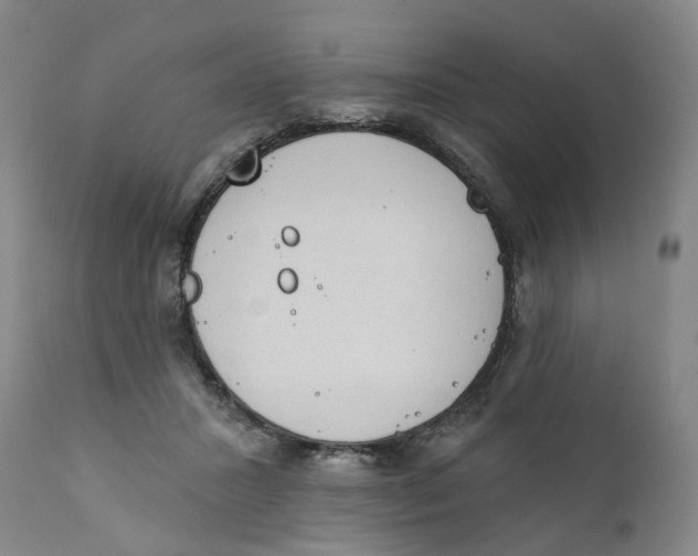 X0000111130407200907211119