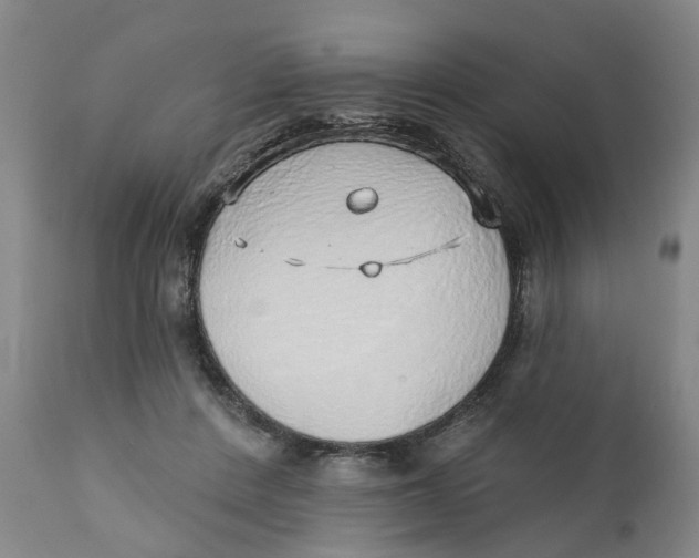 X0000111130408200907211119