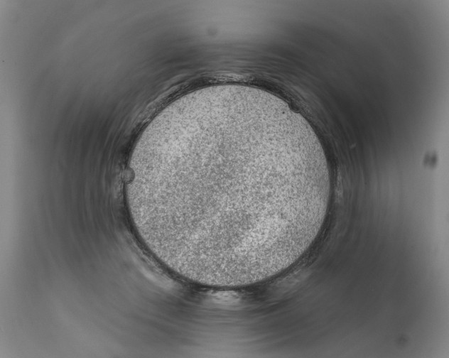 X0000111130409200907211119