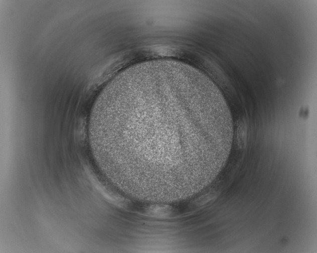 X0000111130410200907211119