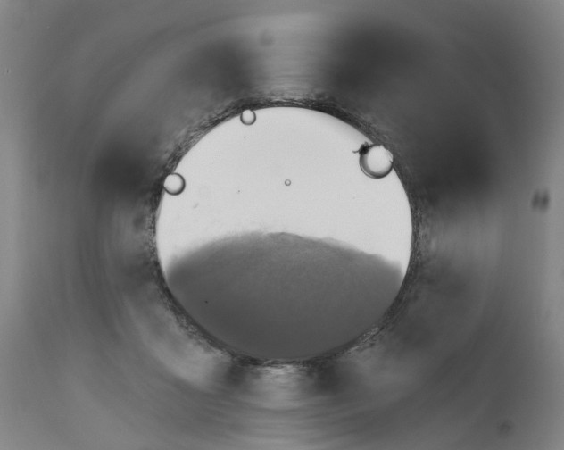 X0000111130411200907211119