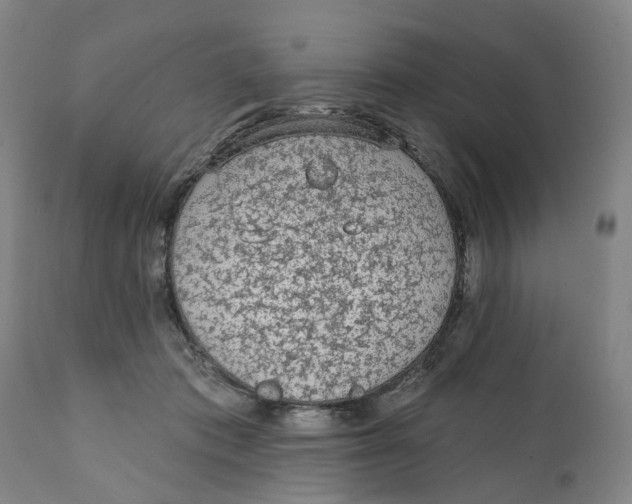 X0000111130413200907211119
