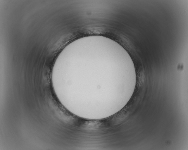 X0000111130414200907211119