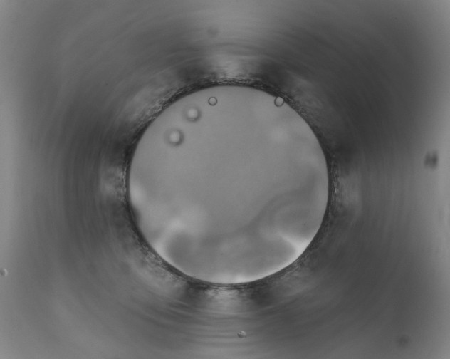 X0000111130419200907211119