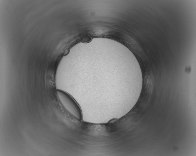 X0000111130421200907211119