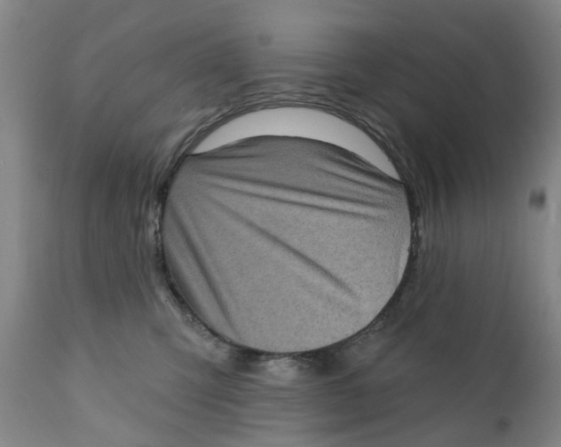 X0000111130423200907211119