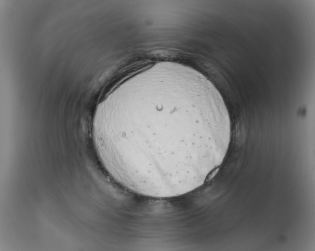 X0000111130424200907211119