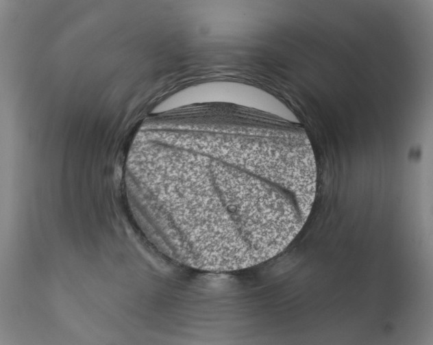 X0000111130427200907211119