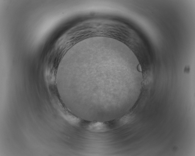 X0000111130431200907211119