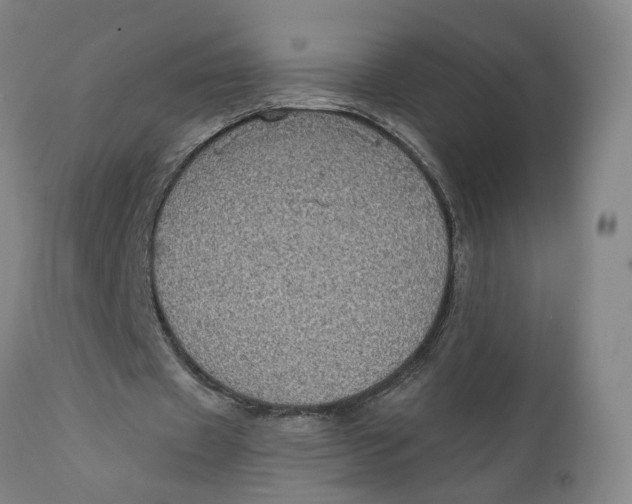 X0000111130433200907211118