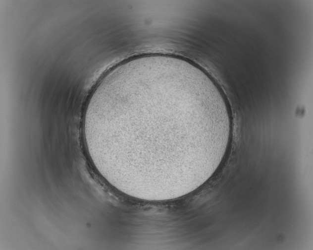 X0000111130434200907211118