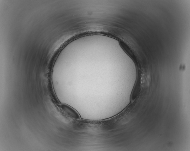 X0000111130436200907211118