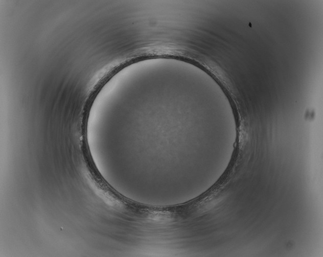 X0000111130438200907211118