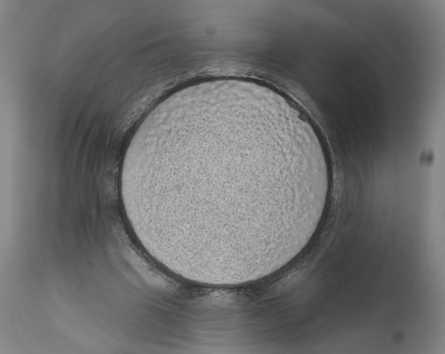 X0000111130441200907211118