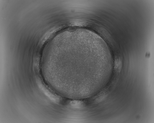 X0000111130444200907211118