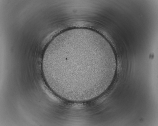 X0000111130445200907211118