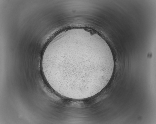 X0000111130446200907211118