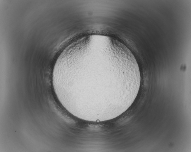 X0000111130450200907211118