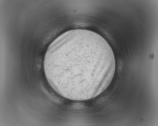 X0000111130451200907211118