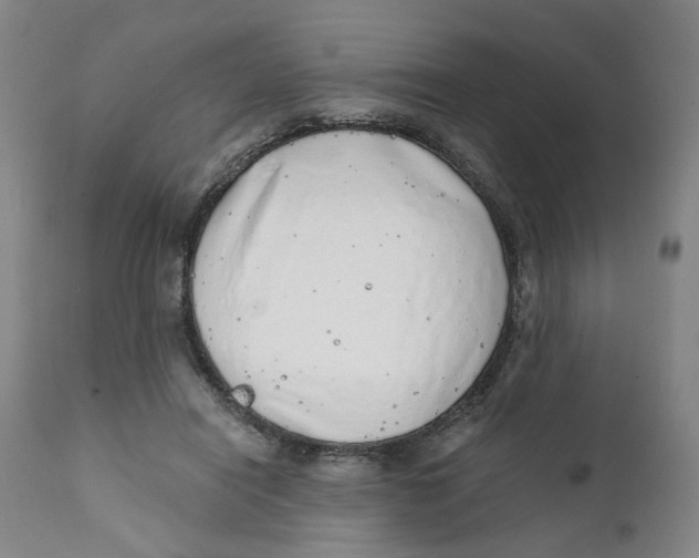 X0000111130454200907211118