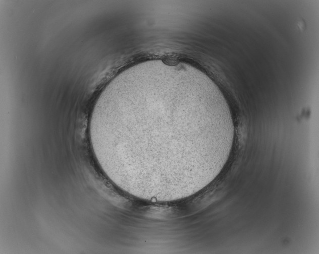 X0000111130458200907211118